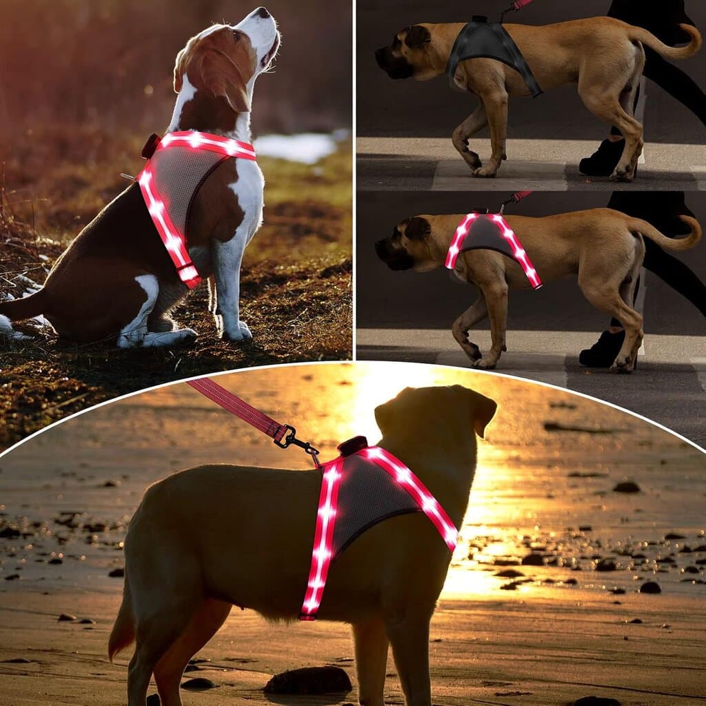 Harness LED - L​ 4