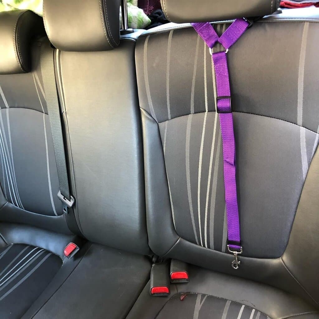 Dog Seat Belt 6