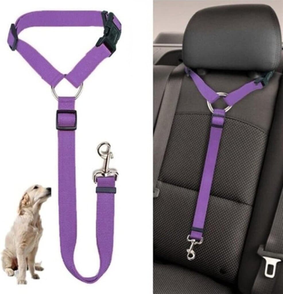 Dog Seat Belt 2