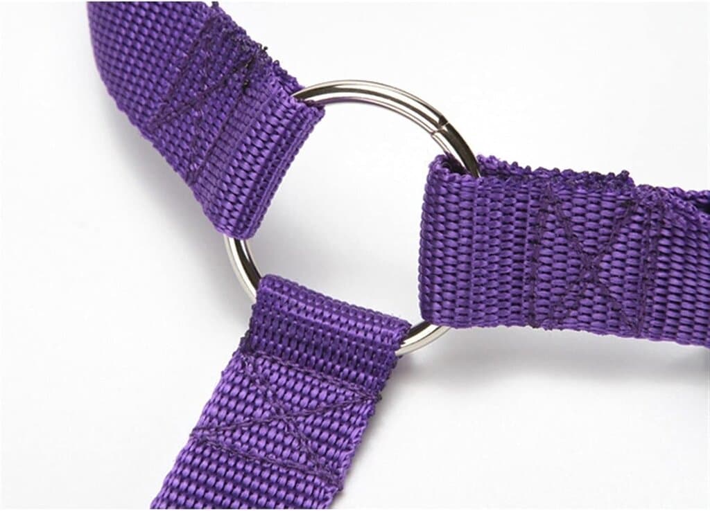 Dog Seat Belt 4