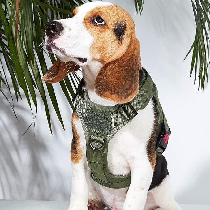 Harness - XL​ 2