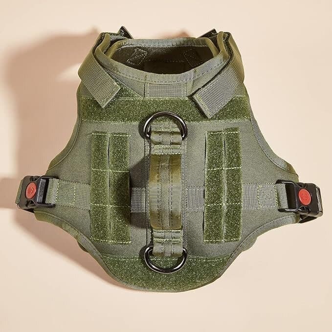 Harness - XL​ 5