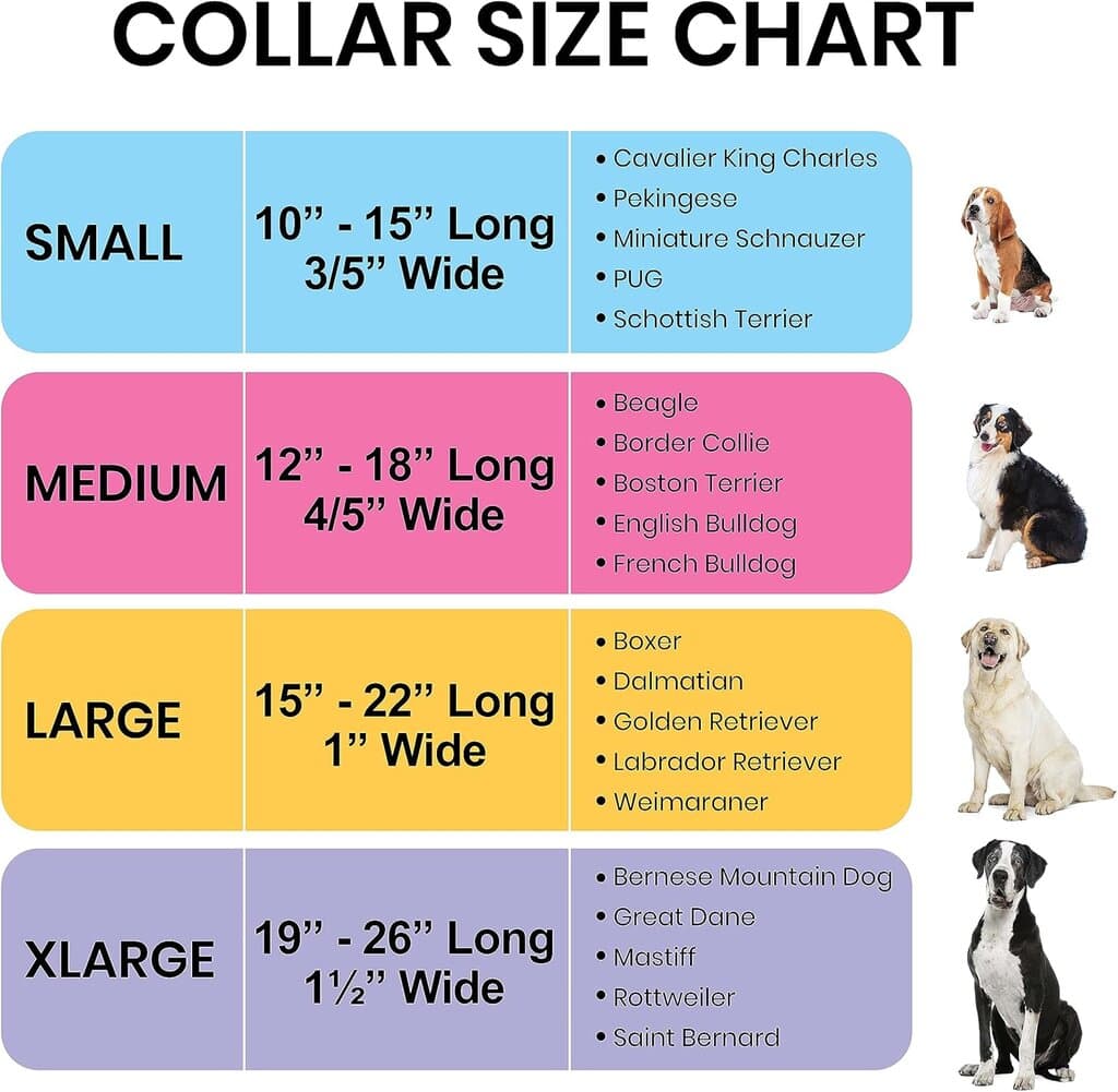 Collar - M​ 2