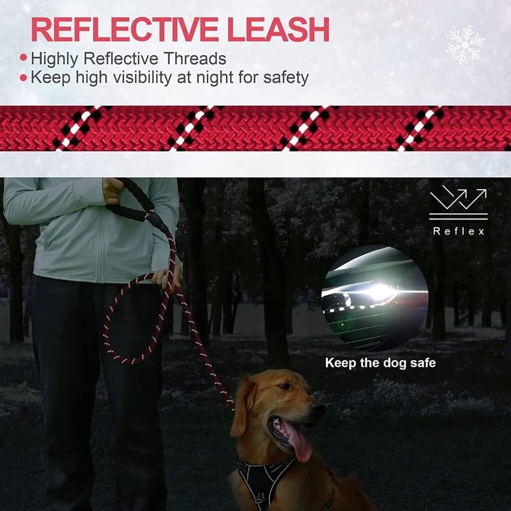 Dog Leash 5