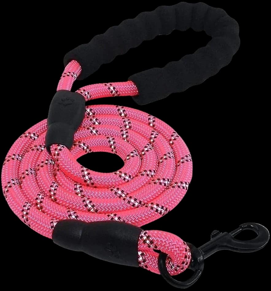 Dog Leash
