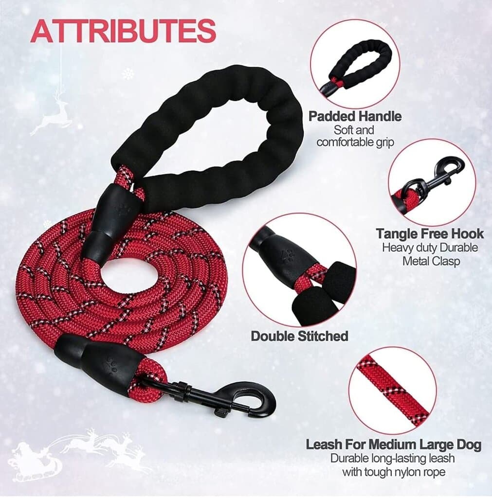 Dog Leash 4