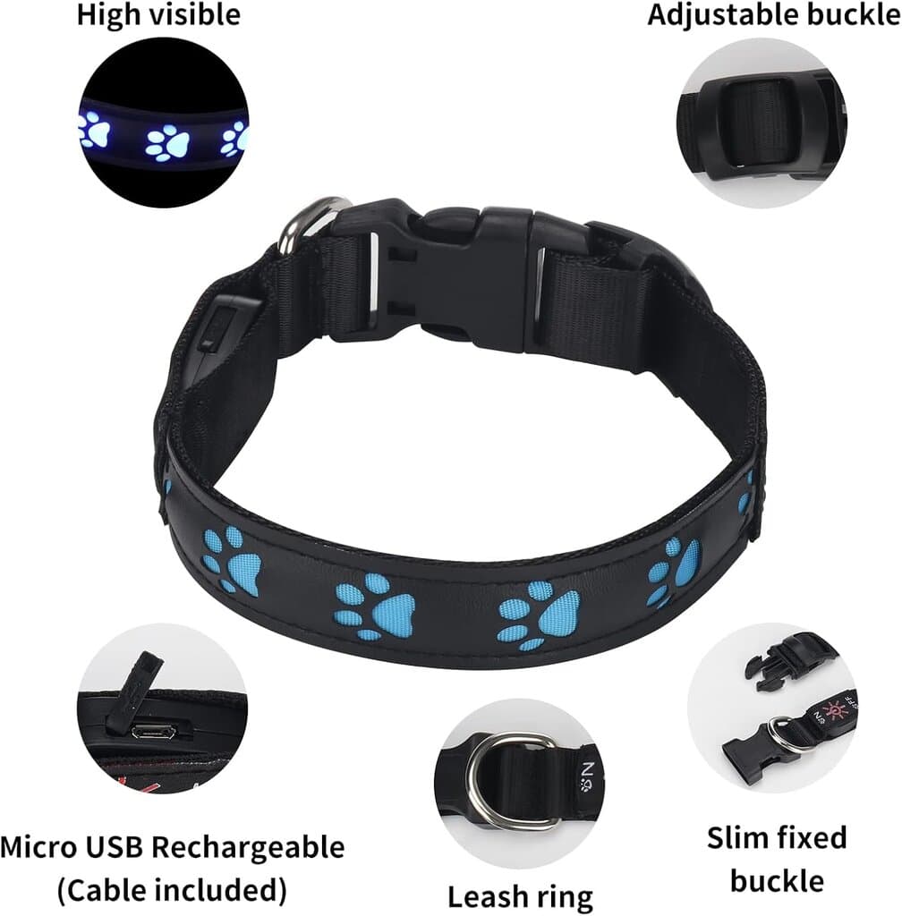 LED Collar 2