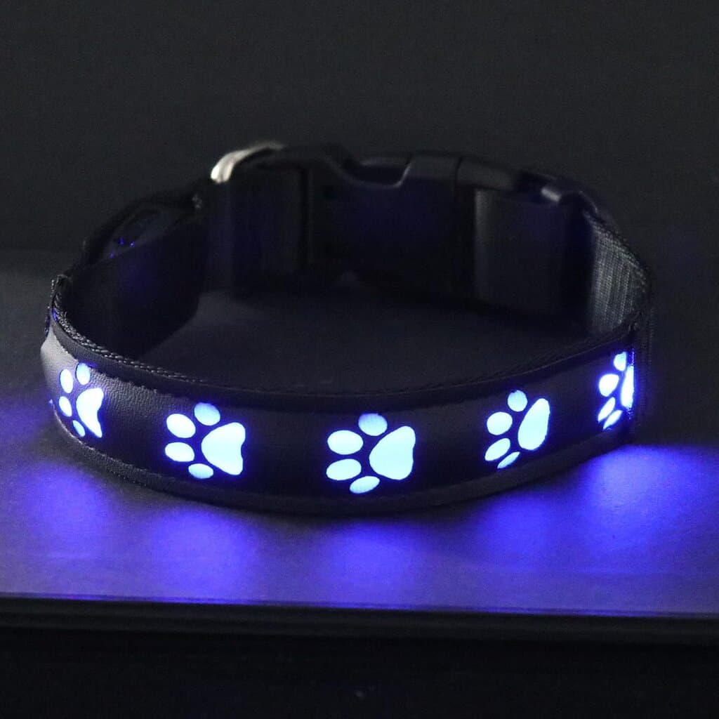 LED Collar 3