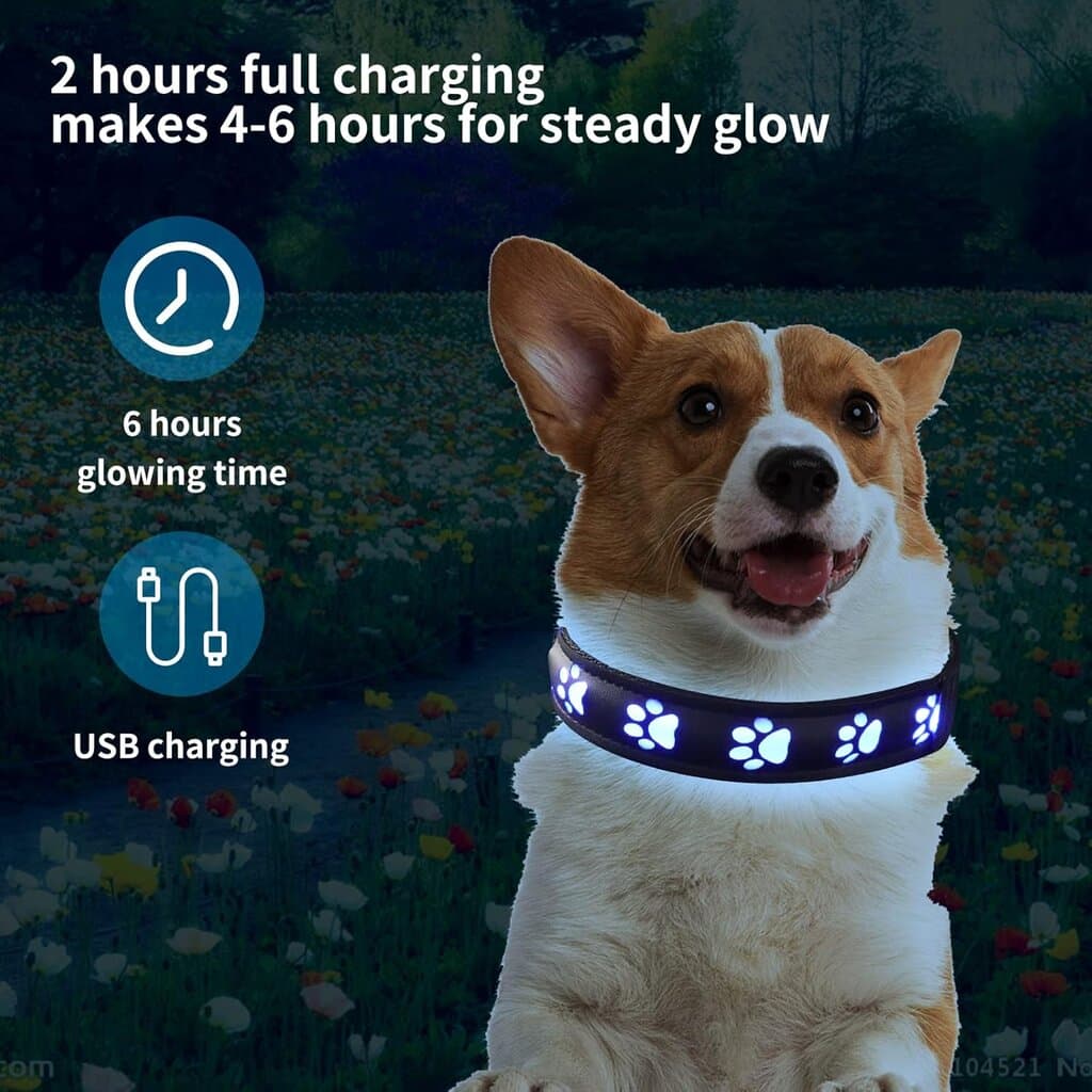 LED Collar 4