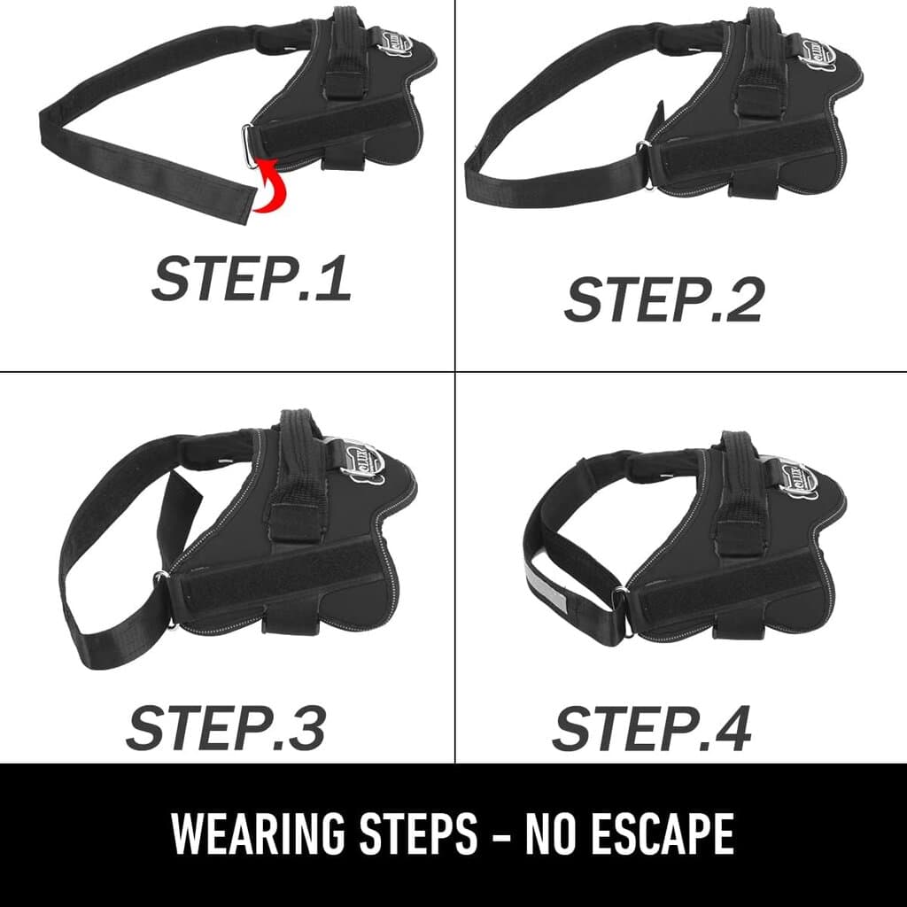 Harness 6