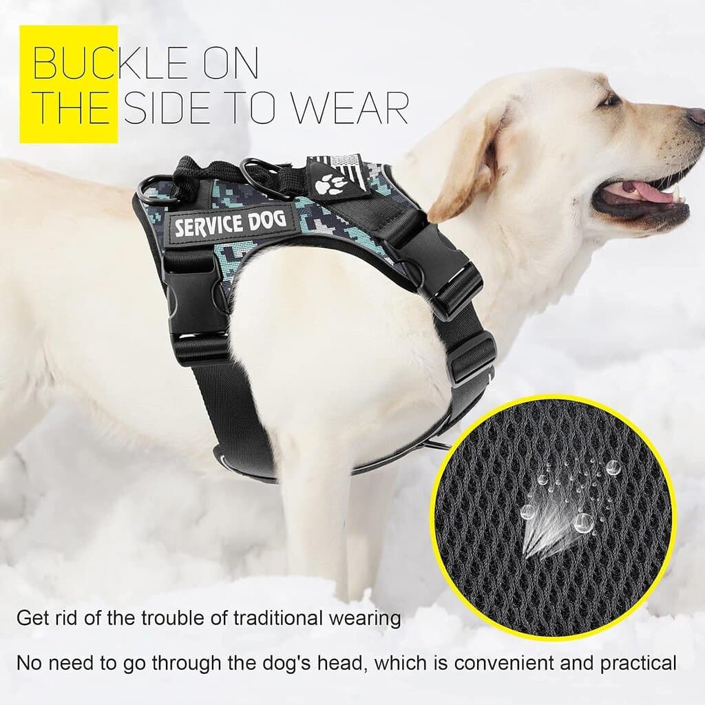 Harness 4