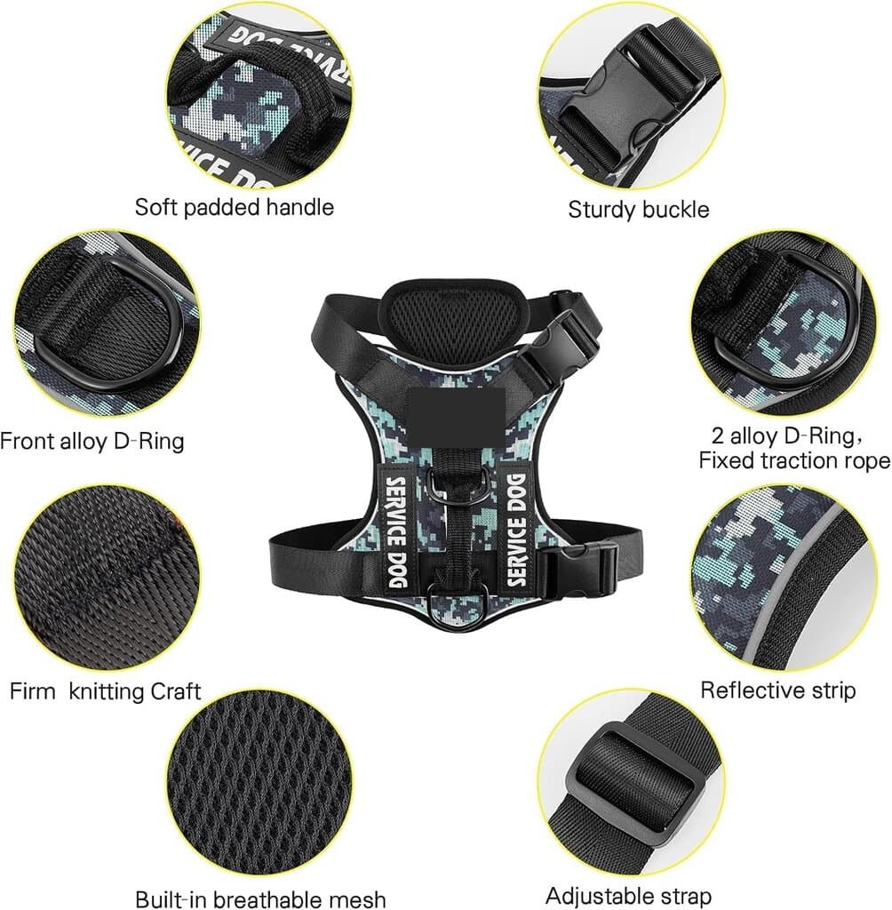 Harness 5