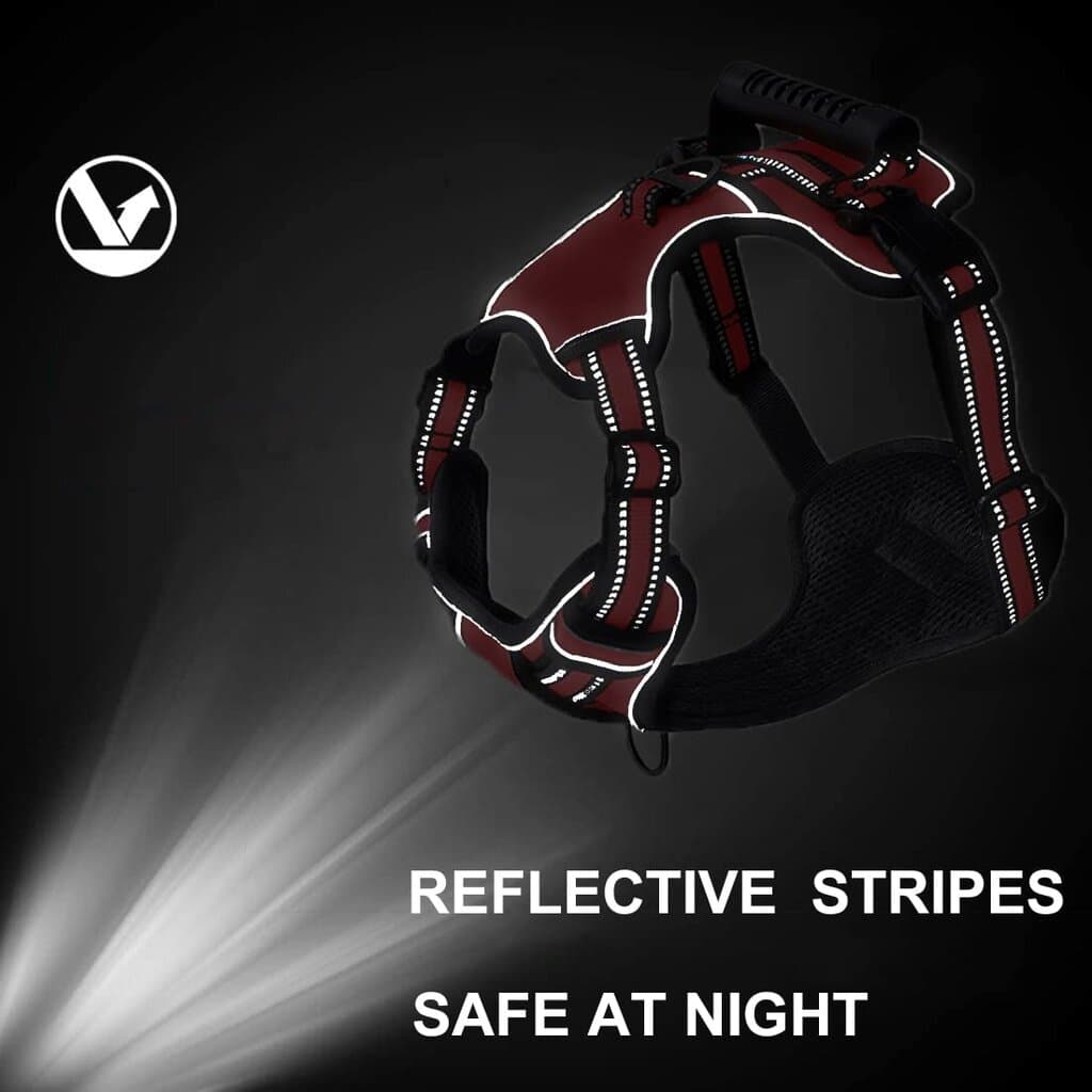 Harness 4