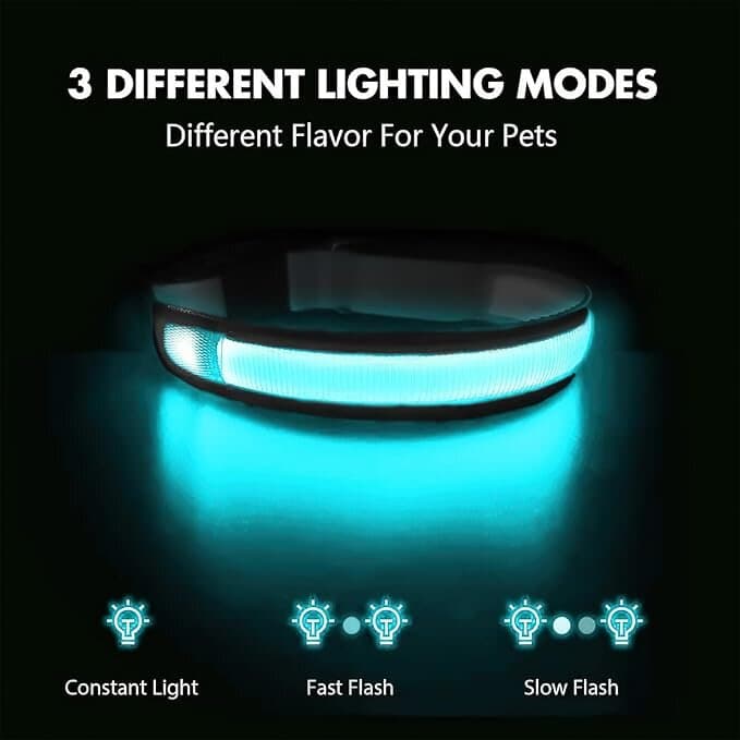 LED Collar 2