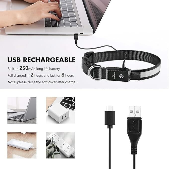 LED Collar 3