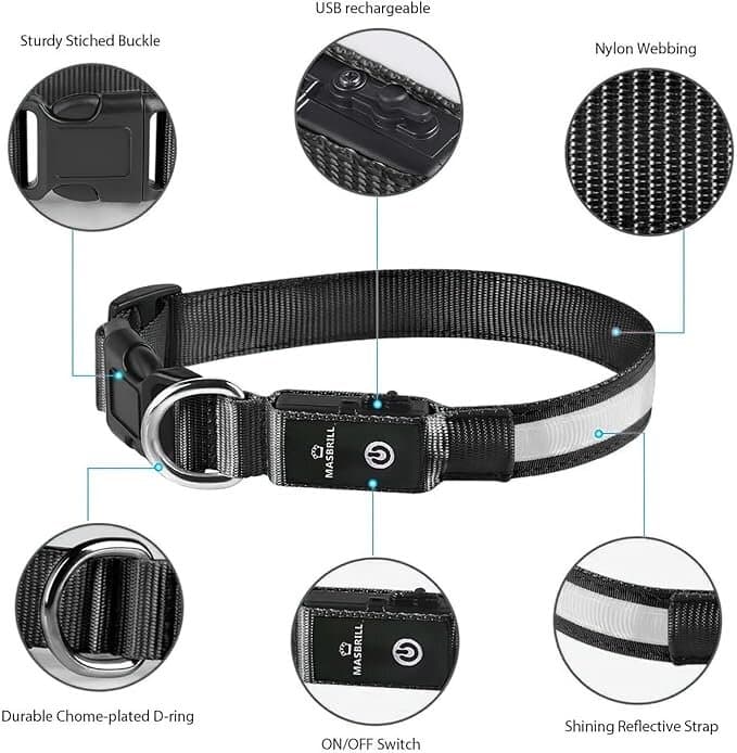 LED Collar 5