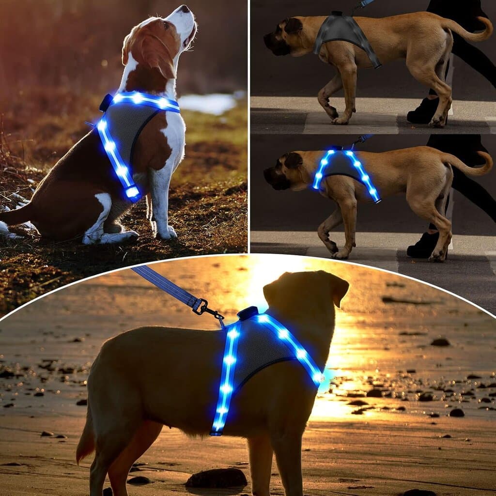 Harness LED 6