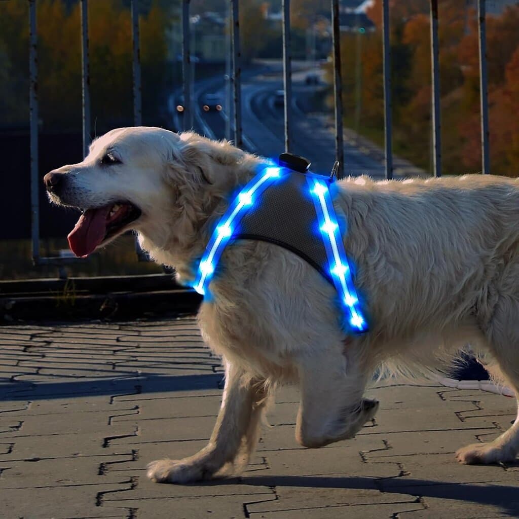 Harness LED 2