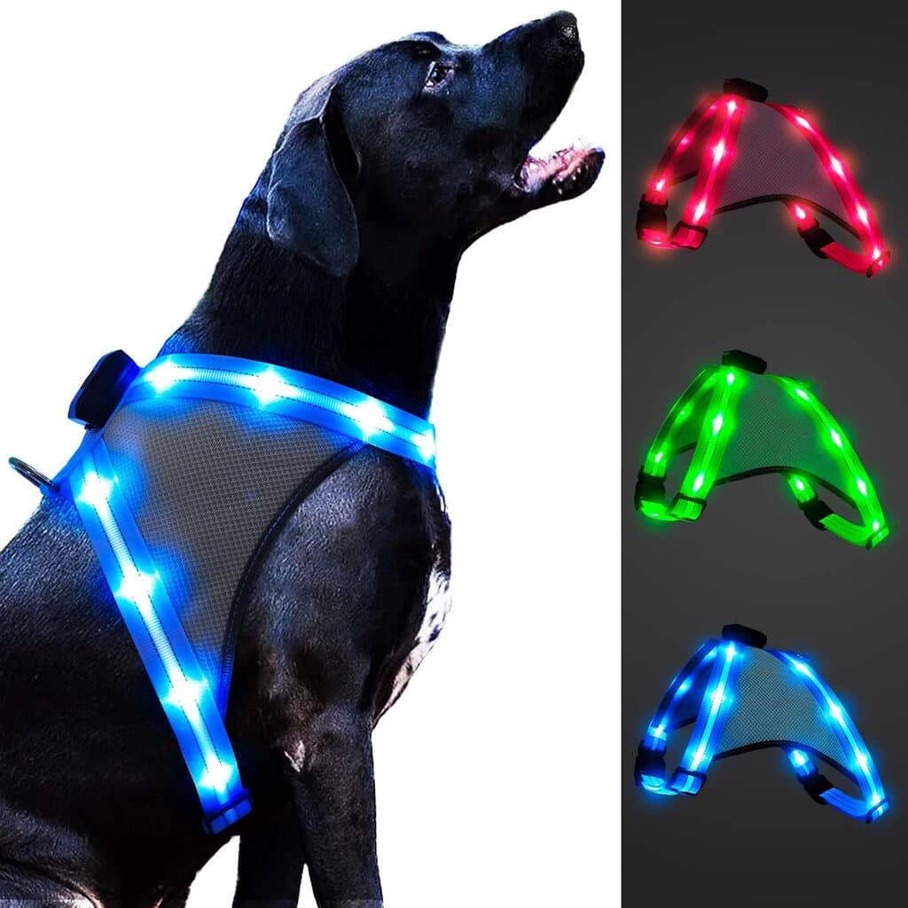 Harness LED 3