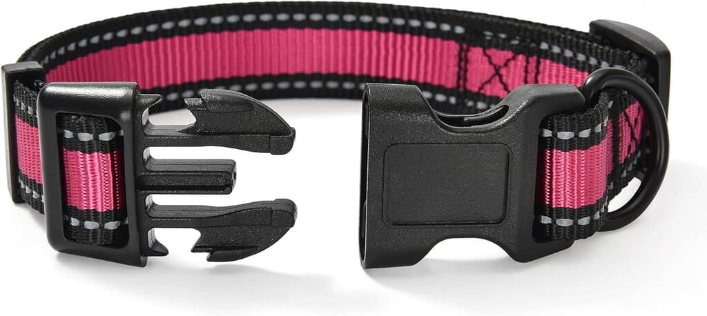 Dog Collar 2