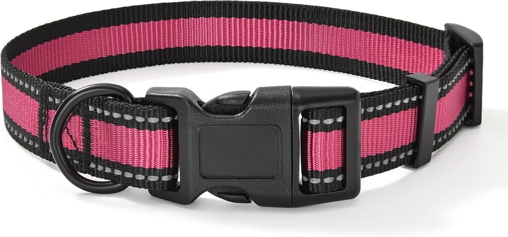 Dog Collar 4