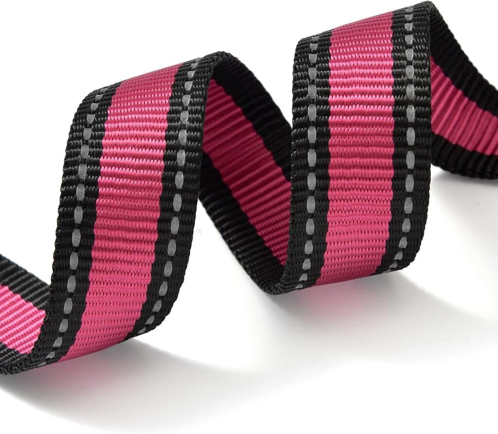 Dog Collar 6