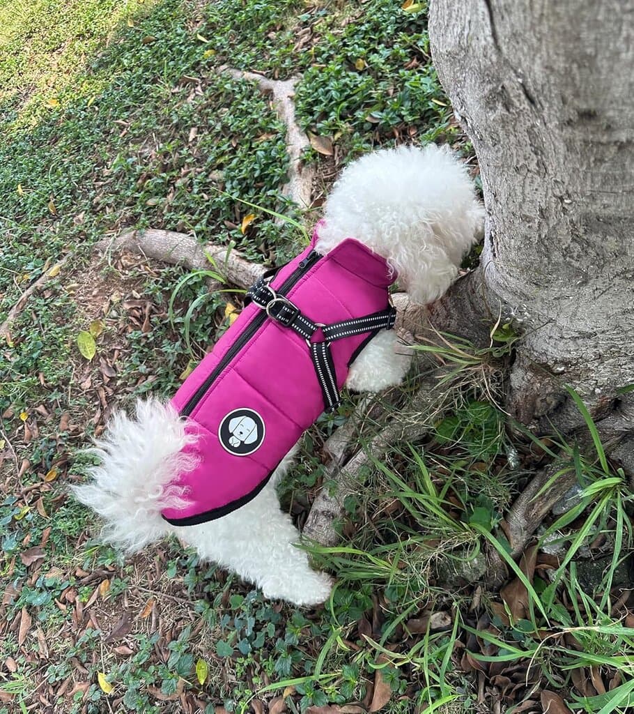 Harness 4