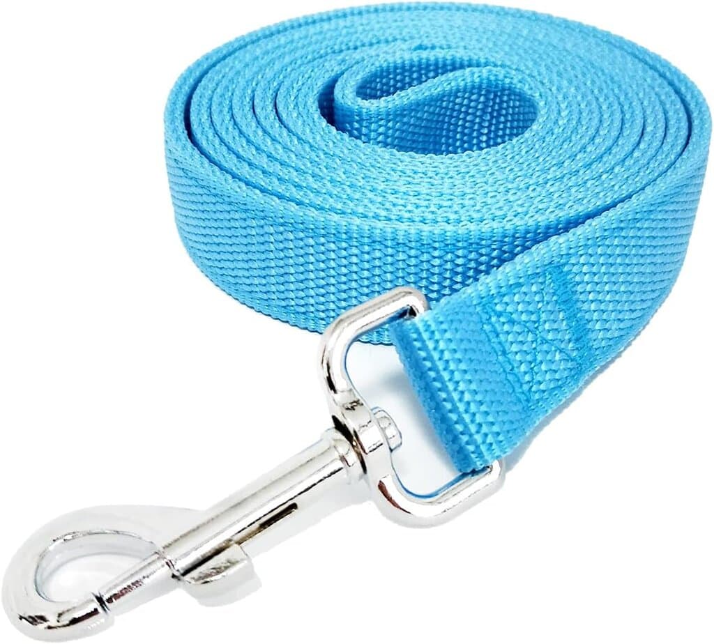 Leash 4