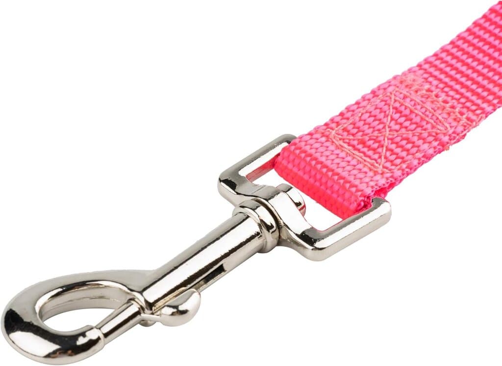 Leash 2