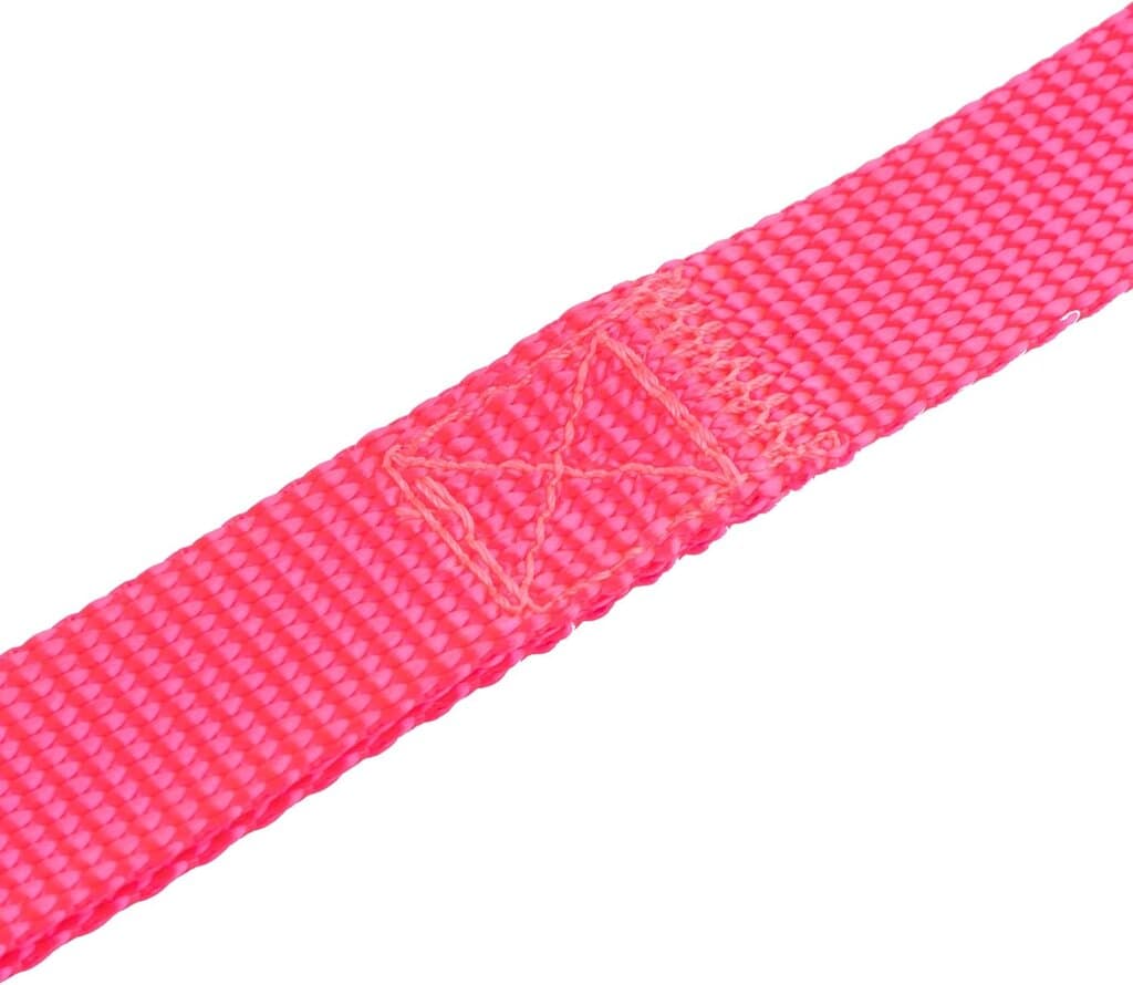 Leash 3