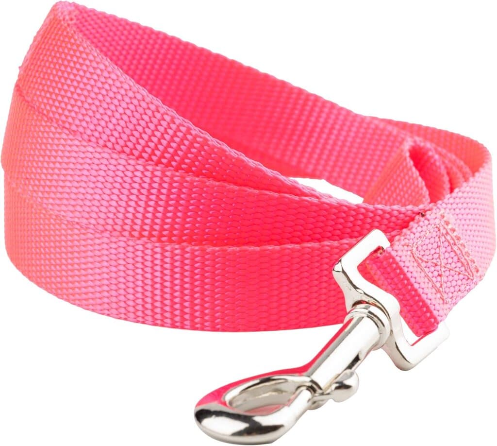 Leash 4