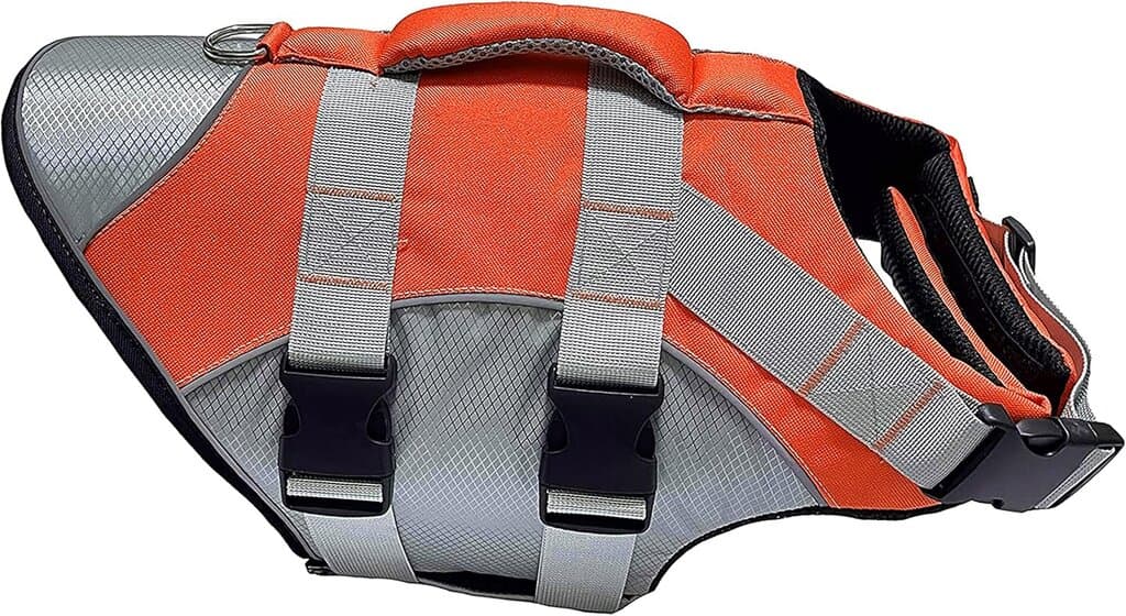 Harness 7