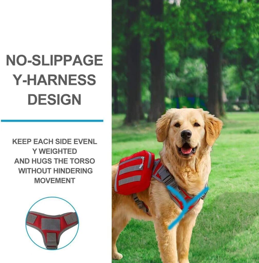 Harness 2