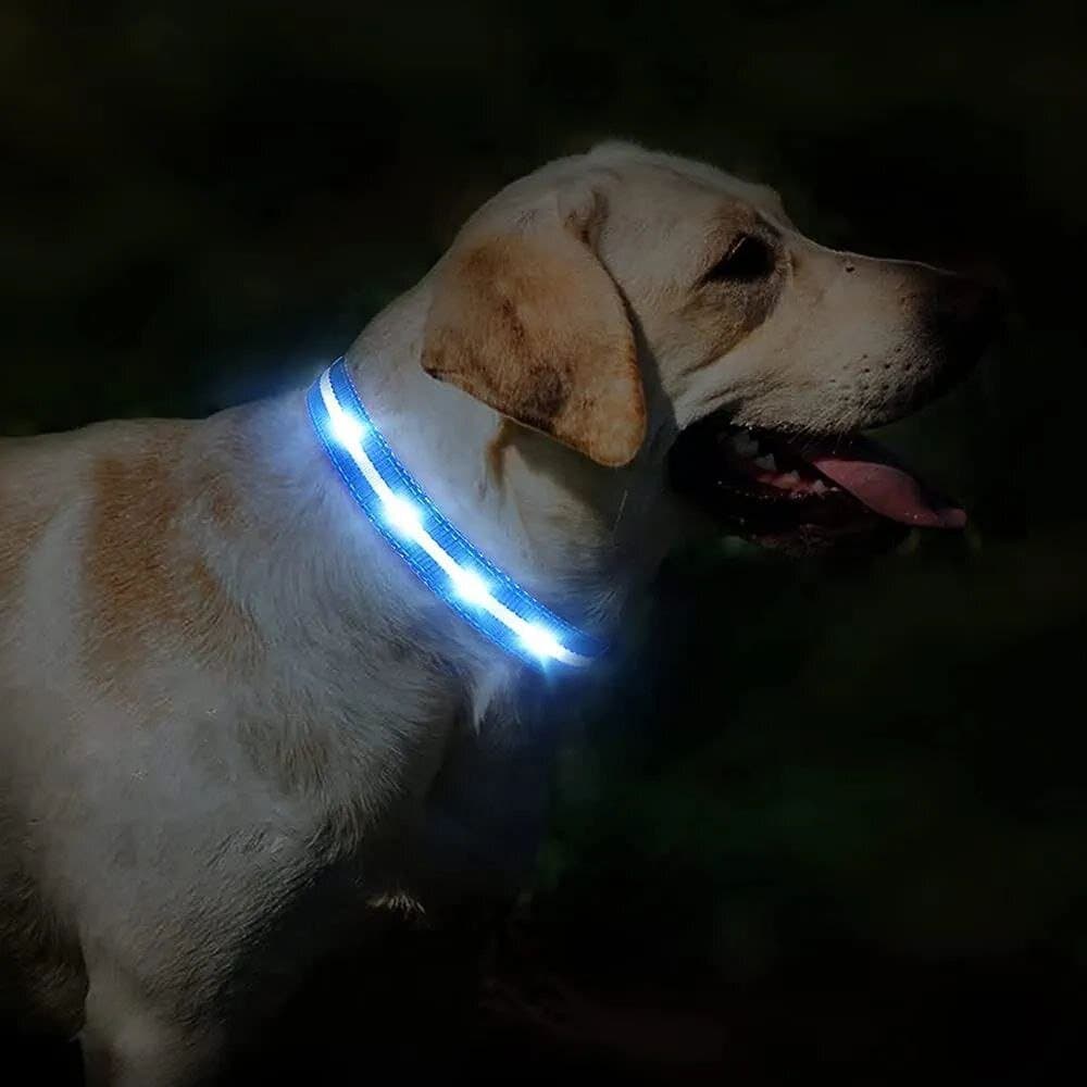 Pet LED Collar 3