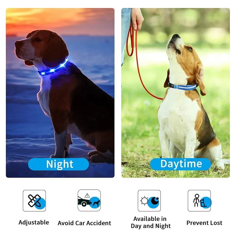 Pet LED Collar 4