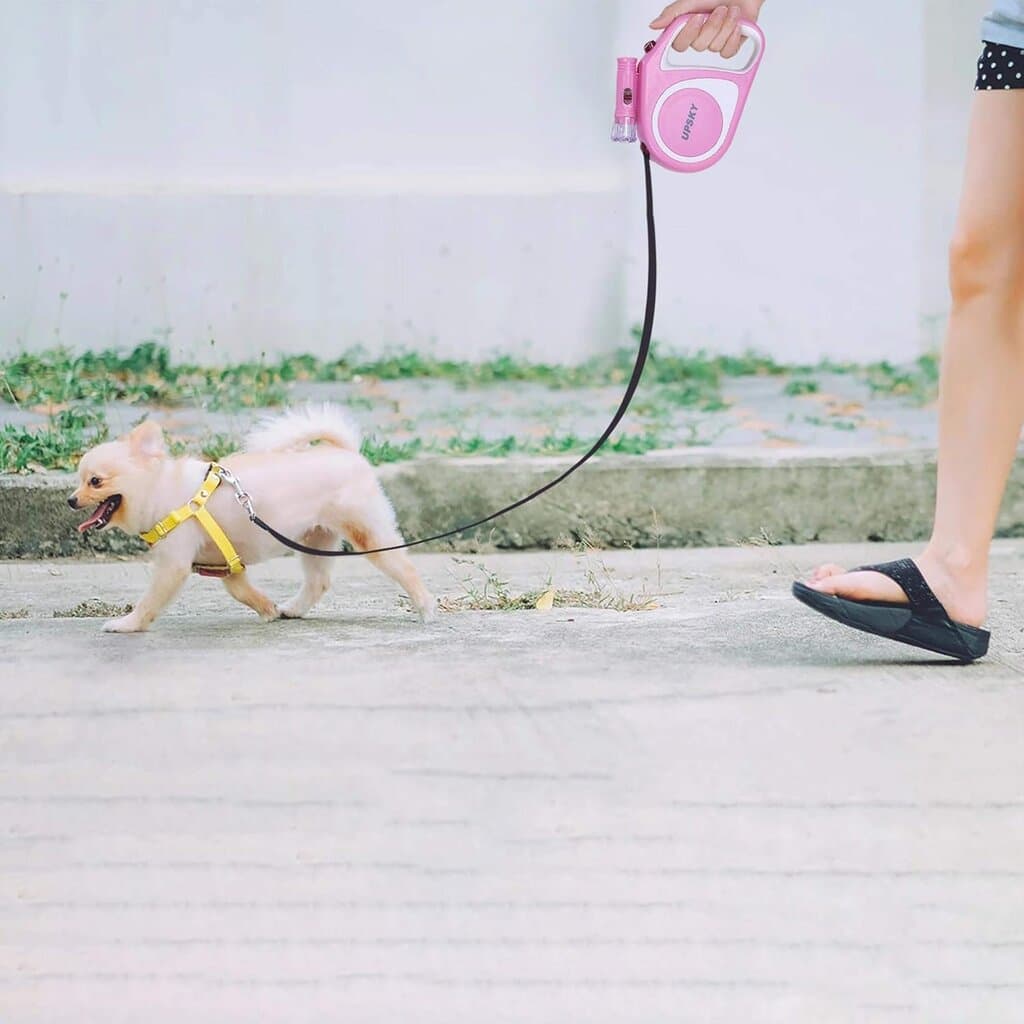 Retractable Leash - 5m 2