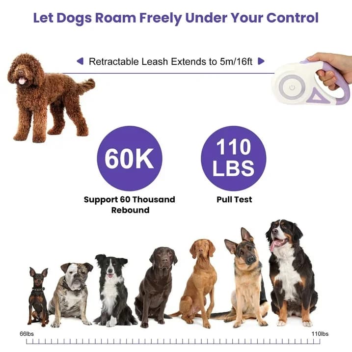 Retractable Leash - 5m 6