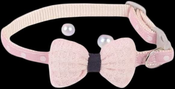 Collar 1