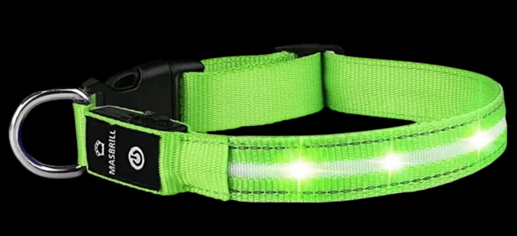 Pet LED Collar - M