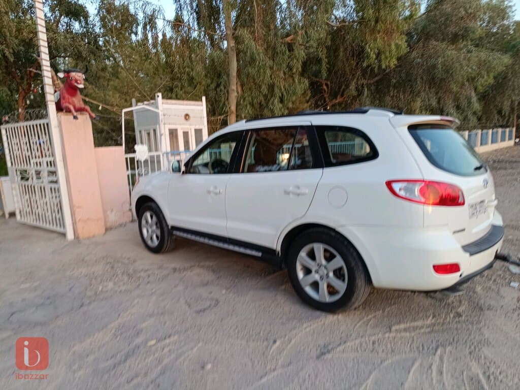 Hyundai Santa Fe 5