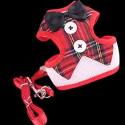 Black and Red Patterned