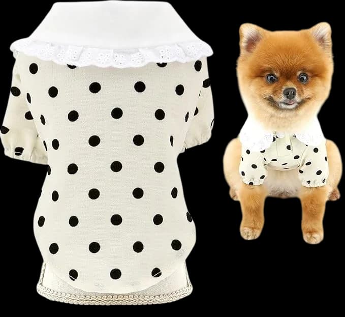 Pet Clothes - M