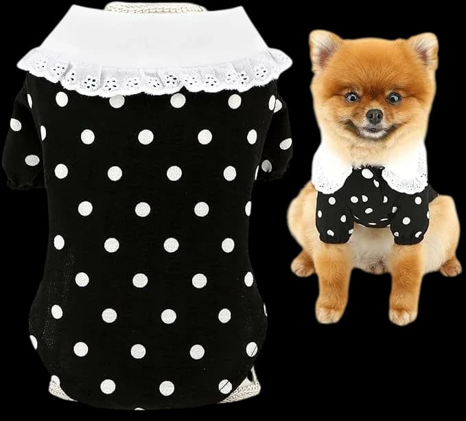 Pet Clothes - L