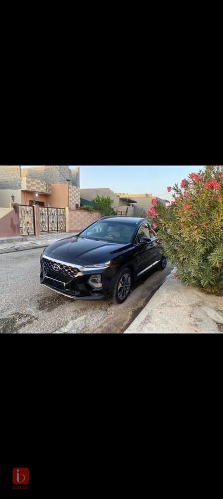 Hyundai Santa Fe Standard 7
