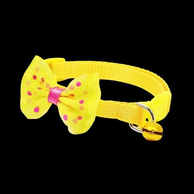Collar 1