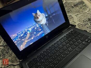 HP