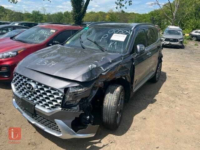 Hyundai Santa Fe 7