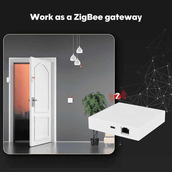 Wired HUB Matter ZIGBEE 3
