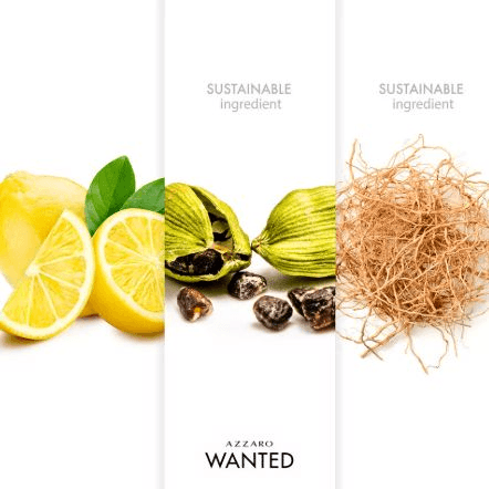 Azzaro Wanted EDT Spray - 50ml 2