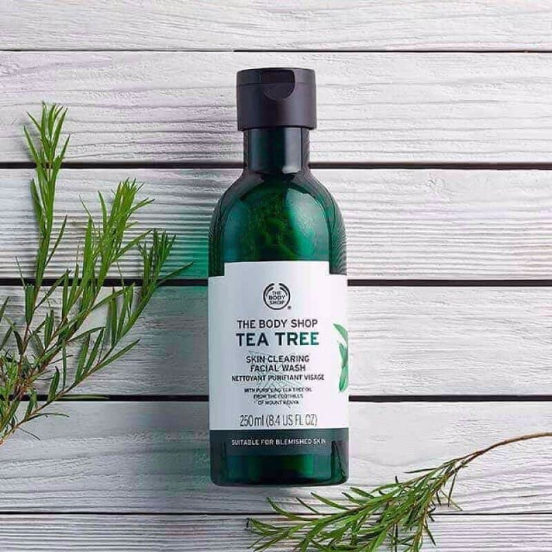 Tea Tree Skin Clearing Facial Wash 2
